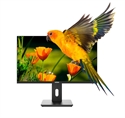 Nilox NXM24REG02 - Monitor 24 Reg Va Hdmi Dp Multim