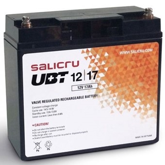 Salicru 013BS000004 Baterías Agm RecargablesLas Baterías De La Serie Ubt De Salicru Son Acumuladores De Energía Altamente Potentes Y Compactos - Basados En Sistemas Recargables De Plomo - Dióxido De Plomo - Y Son Especialmente Óptimos Para Las Aplica...