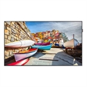 Samsung LH55PMHPBGC/EN - 