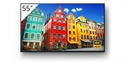 Sony FW-55BZ30J1 - Sony Bravia Professional Displays FW-55BZ30J1 - 55'' Clase diagonal BZ30J1 Series pantalla