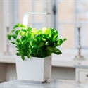 Tregren T3WHITE - Huerto De Cocina Tregren T3 Blanco.El T3 Es El Huerto De Cocina Más Pequeño De La Línea De