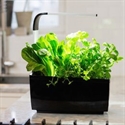 Tregren T6BLACK - Huerto De Cocina Tregren T6 Negro.El T6 Es El Huerto De Tamaño Medio De La Línea De Produc