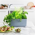 Tregren T6GREY - Huerto De Cocina Tregren T6 Gris.El T6 Es El Huerto De Tamaño Medio De La Línea De Product