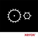Xerox 116R00010 - Rodillo Alimentacion De Papel Versalink B600/B605/B610/B615